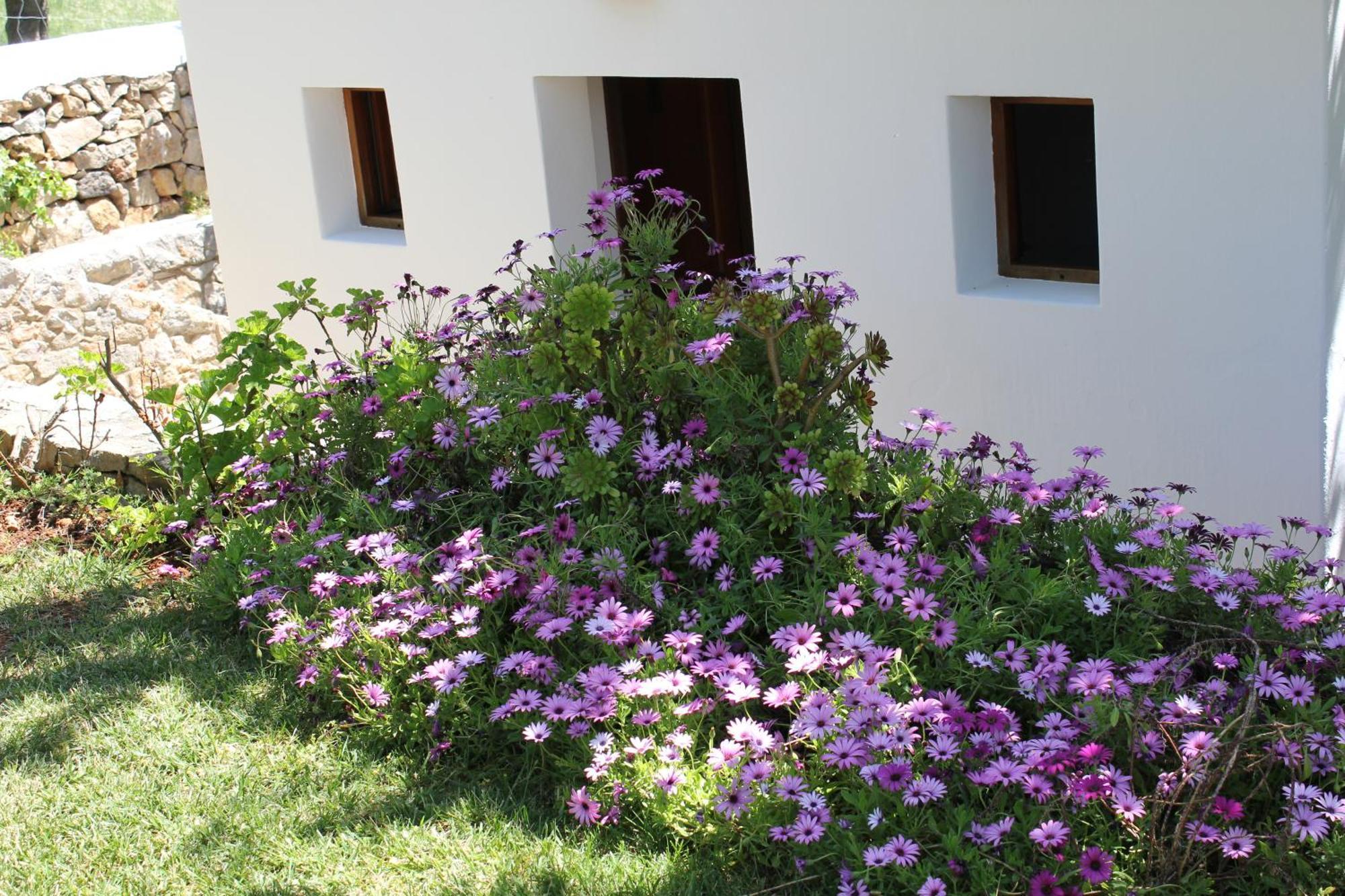Fuster Casa de camp Sant Joan De Labritja