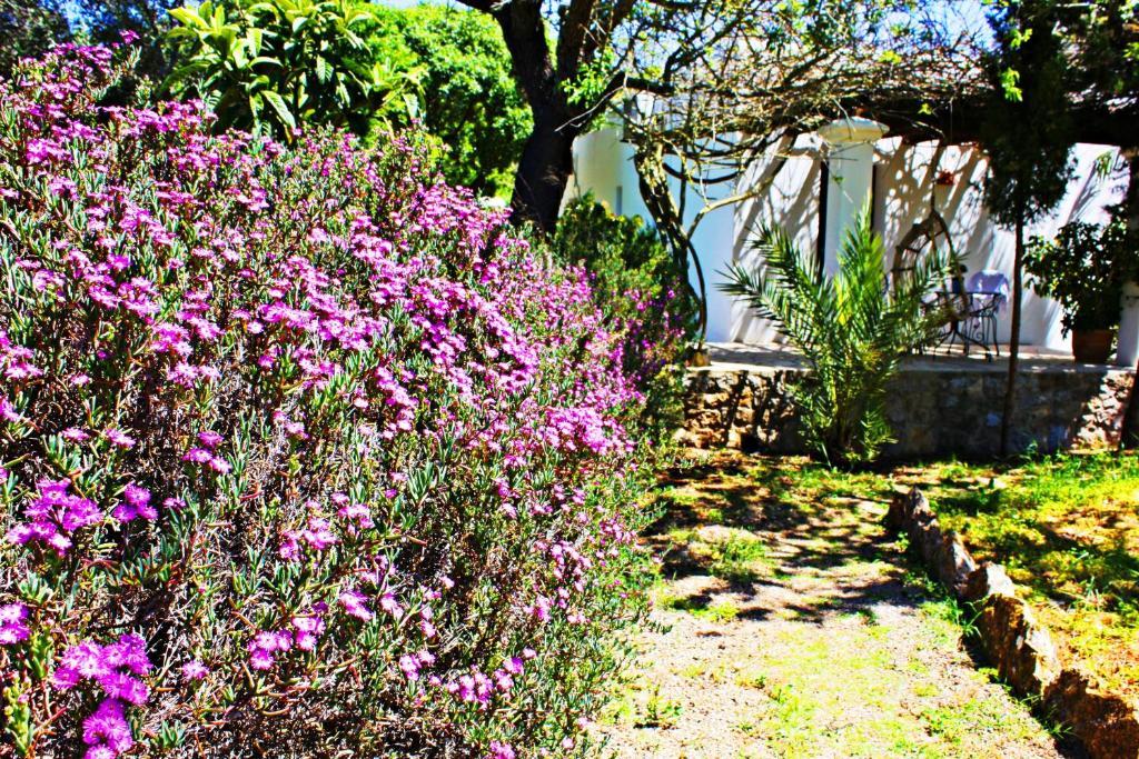 Casa de camp Fuster Sant Joan De Labritja