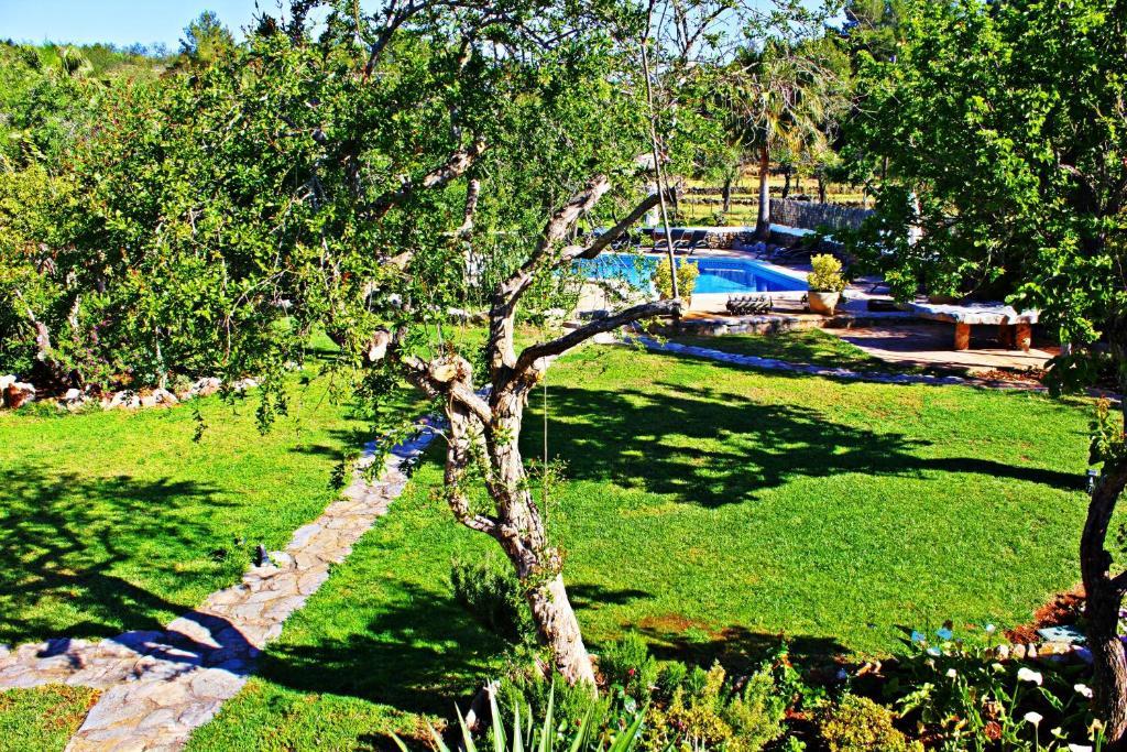 Fuster Casa de camp *